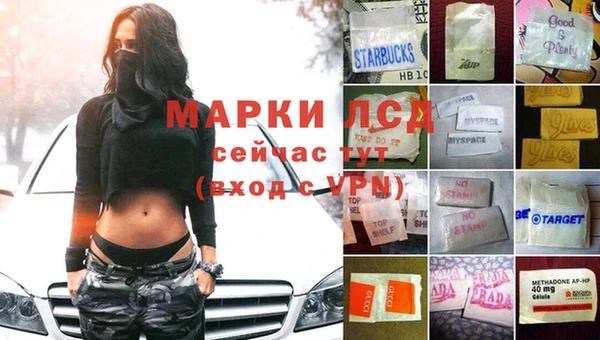 стафф Алексин