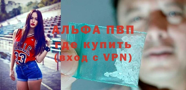стафф Алексин
