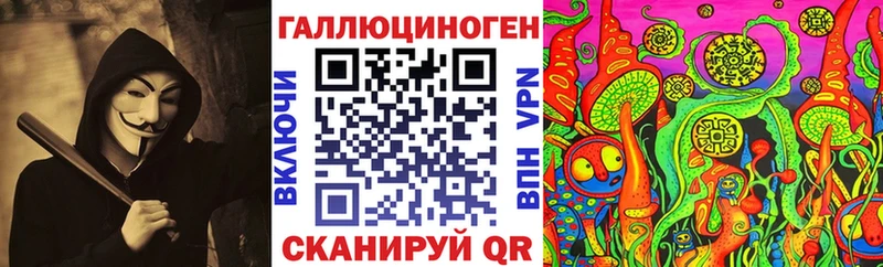 даркнет как зайти  где найти наркотики  Шуя  Галлюциногенные грибы Psilocybe 